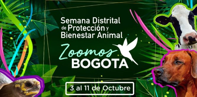 noticia semana protección animal noticia semana protección animal