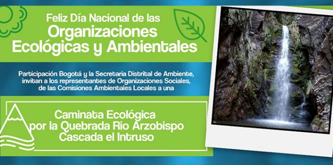Organizaciones Ecológicas y Ambientales Organizaciones Ecológicas y Ambientales
