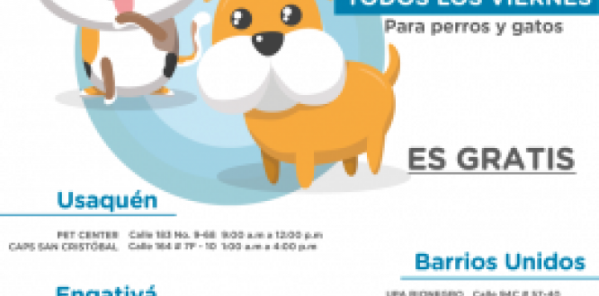 Viernes de vacunación canina y felina en Usaquén Viernes de vacunación canina y felina en Usaquén