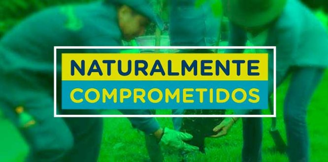 Jornada de siembra y adopción de árboles Jornada de siembra y adopción de árboles