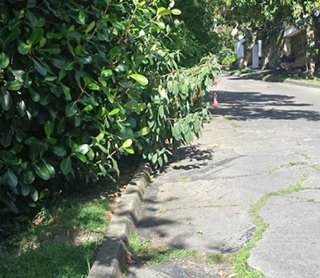 Muro de contención en Santa Ana evitará deterioro de la vía 