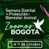 noticia semana protección animal