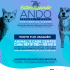Julio 13, 16 y 17: jornada de esterilización en Usaquén